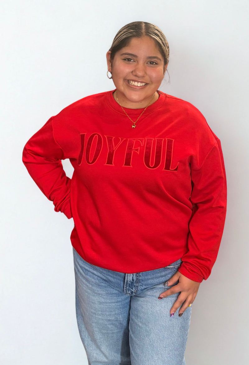 Joyful Velvet Patch Luxe Pullover